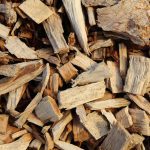 Mehr als nur Baumrinde – Rindenmulch hält Pflanzen gesund
