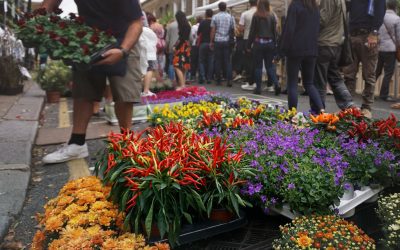 Chelsea Flower Show 2025: Gartentrends setzen neue Maßstäbe in Gestaltung und Technik
