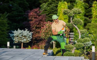 Pflegeleichte Gartengestaltung: Konzepte für wenig Aufwand und mehr Freude