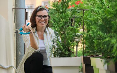 Urban Gardening 2025: Roboter im Kleingarten-Einsatz