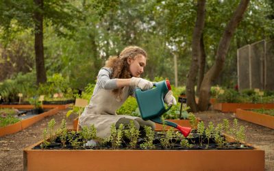 Rechte und Pflichten im Garten: Was Grundstückseigentümer beachten müssen
