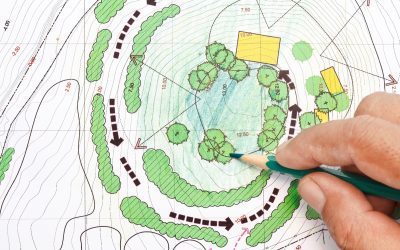 Klimagerechte Gartenplanung: Wildpflanzungen und “Schwamm­garten” als Antwort auf Hitze und Starkregen