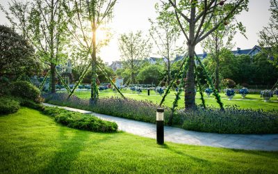 Garten nach Neubau: Von der Rohfläche zur grünen Oase